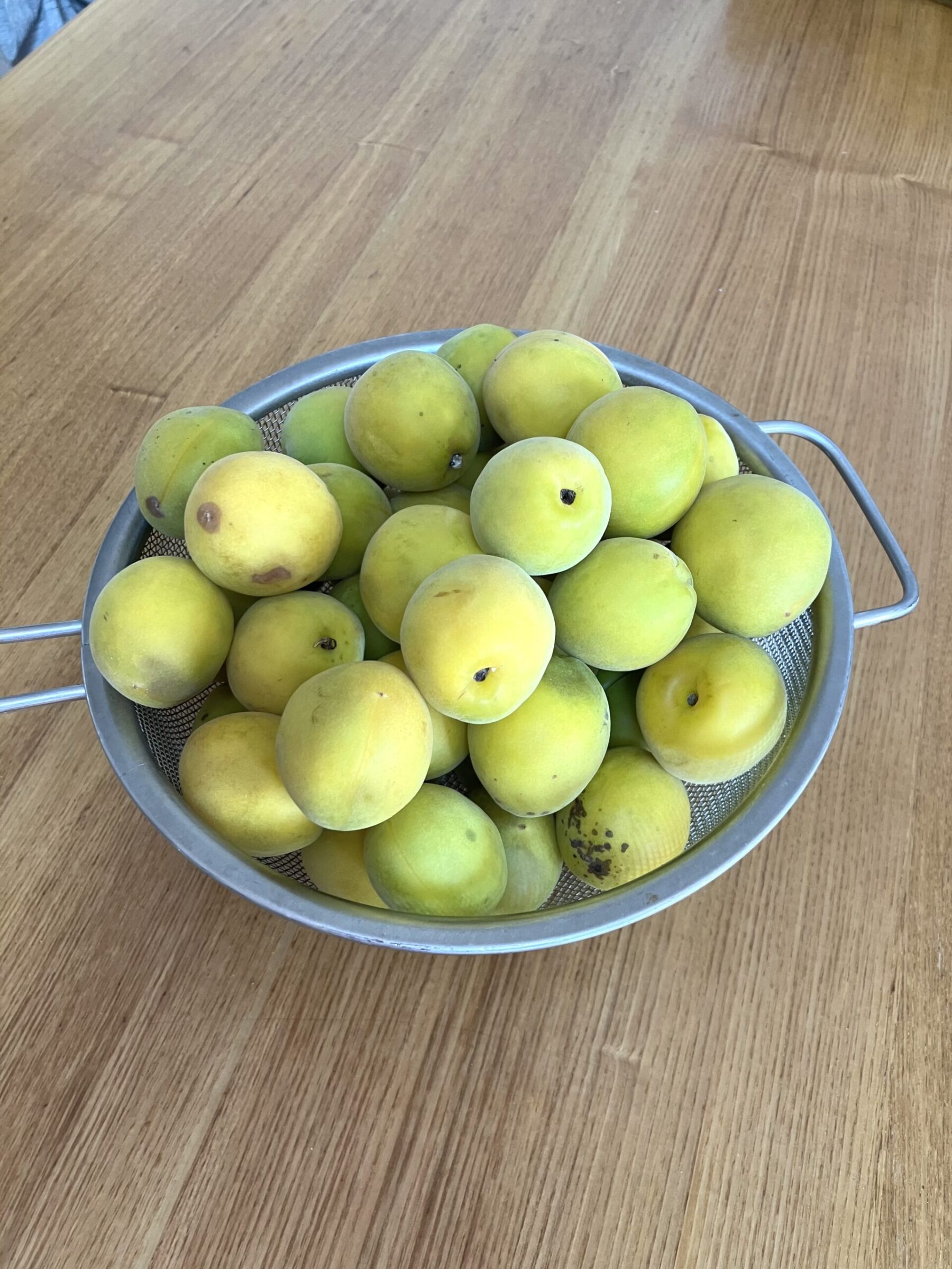 청매실 1kg (Photo by 김현진)